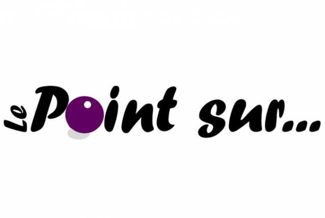 06 - LE POINT SUR....