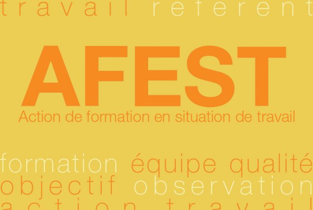 6. Actions de Formation En Situation de Travail (AFEST)
