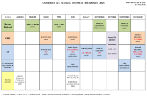 Calendrier des réunions d'instances 2025 